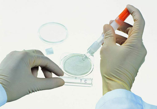 Puikko Compact Dry-maljoille